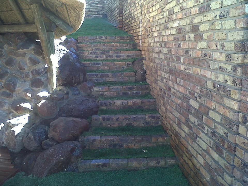 118614824_125289115948794_1799600470950127732_n